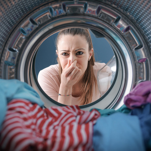Bio-zyme Banter: From Dogs to Dishwashers