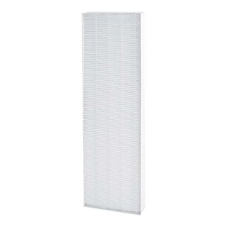 AeraMax DX5 True Hepa Filter